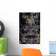 Frogfish Uses Its Effective Wall Decal