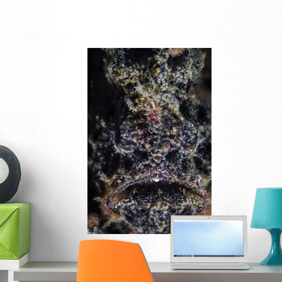Frogfish Uses Its Effective Wall Decal shown on a wall