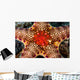 Close-up Neoferdina Insolita Starfish Wall Decal