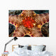 Close-up Neoferdina Insolita Starfish Wall Decal
