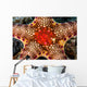 Close-up Neoferdina Insolita Starfish Wall Decal