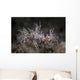 Pair Spiny Tiger Shrimp Wall Decal Design 2