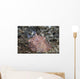 Close-up Beautiful Halgerda Batangas Wall Decal Design 2
