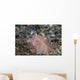 Close-up Beautiful Halgerda Batangas Wall Decal Design 2