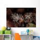Pair Spiny Tiger Shrimp Wall Decal Design 1