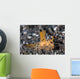 Thecacera Nudibranch Crawls across Wall Decal