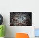 Close-up Front Broadclub Cuttlefish Wall Decal