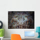 Close-up Front Broadclub Cuttlefish Wall Decal