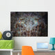 Close-up Front Broadclub Cuttlefish Wall Decal