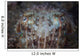 Close-up Front Broadclub Cuttlefish Wall Decal