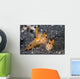 Pair Thecacera Nudibranch Mating Wall Decal