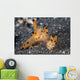 Pair Thecacera Nudibranch Mating Wall Decal