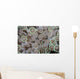 Goniopora Coral Polyps Grow Wall Decal