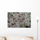 Goniopora Coral Polyps Grow Wall Decal