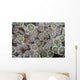 Goniopora Coral Polyps Grow Wall Decal