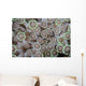 Goniopora Coral Polyps Grow Wall Decal