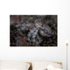 Blue-ringed Octopus Lings to Wall Decal