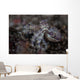 Blue-ringed Octopus Lings to Wall Decal