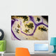 Detail Body Polycarpa Tunicate Wall Decal