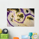 Detail Body Polycarpa Tunicate Wall Decal