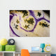 Detail Body Polycarpa Tunicate Wall Decal