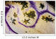 Detail Body Polycarpa Tunicate Wall Decal
