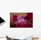 Soft Coral Crab Blends Wall Decal Design 2