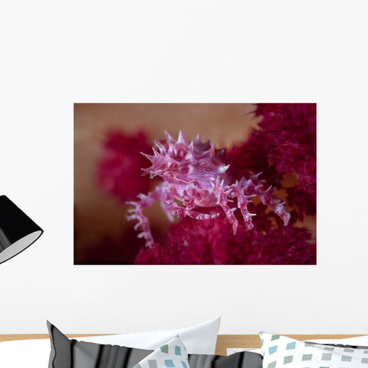 Soft Coral Crab Blends Wall Decal Design 2