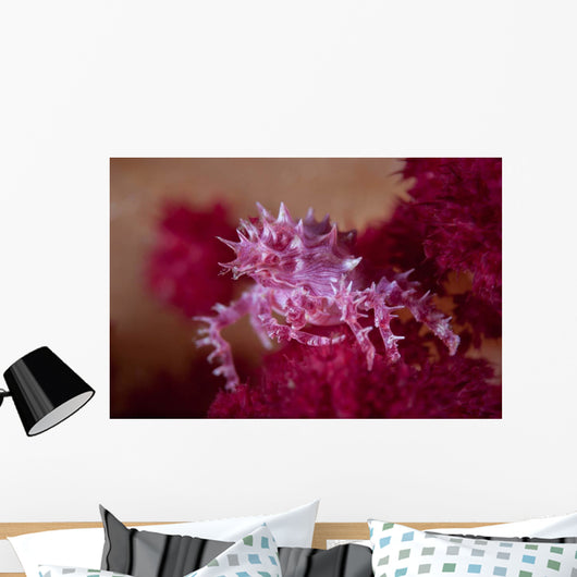 Soft Coral Crab Blends Wall Decal Design 2