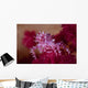 Soft Coral Crab Blends Wall Decal Design 2