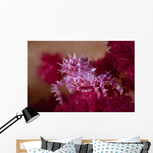 Soft Coral Crab Blends Wall Decal Design 2
