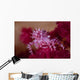 Soft Coral Crab Blends Wall Decal Design 2