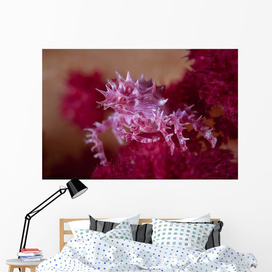 Soft Coral Crab Blends Wall Decal Design 2