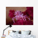 Soft Coral Crab Blends Wall Decal Design 2