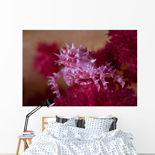 Soft Coral Crab Blends Wall Decal Design 2
