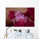 Soft Coral Crab Blends Wall Decal Design 2