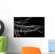 Banded Tozeuma Shrimp Camouflages Wall Decal