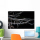 Banded Tozeuma Shrimp Camouflages Wall Decal