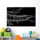 Banded Tozeuma Shrimp Camouflages Wall Decal