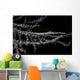 Banded Tozeuma Shrimp Camouflages Wall Decal