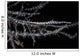 Banded Tozeuma Shrimp Camouflages Wall Decal