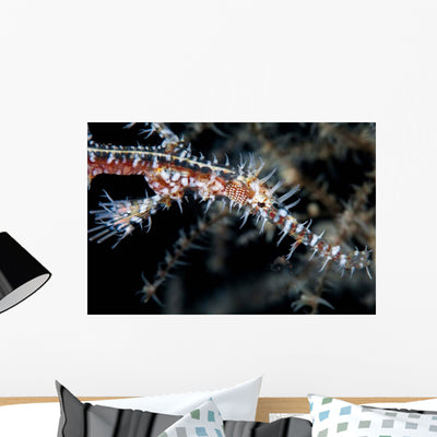 Ornate Ghost Pipefish Blends Wall Decal Design 3 shown on a wall