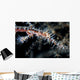 Ornate Ghost Pipefish Blends Wall Decal Design 3