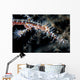 Ornate Ghost Pipefish Blends Wall Decal Design 3