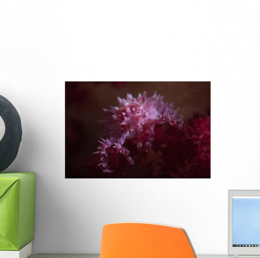 Soft Coral Crab Blends Wall Decal Design 1