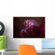 Soft Coral Crab Blends Wall Decal Design 1