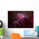 Soft Coral Crab Blends Wall Decal Design 1