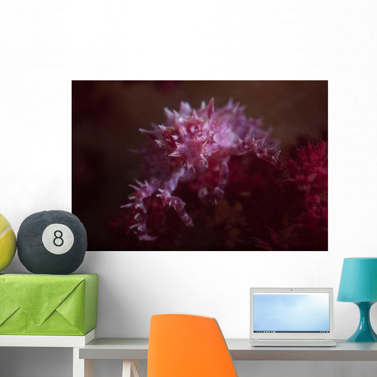 Soft Coral Crab Blends Wall Decal Design 1