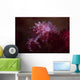 Soft Coral Crab Blends Wall Decal Design 1