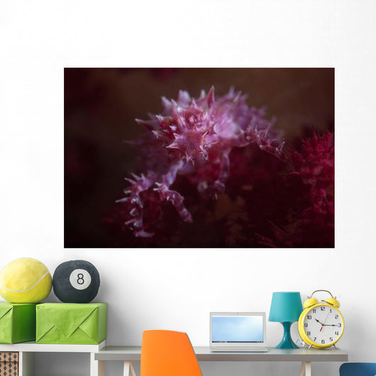 Soft Coral Crab Blends Wall Decal Design 1